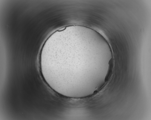 X0000091891056200709261636