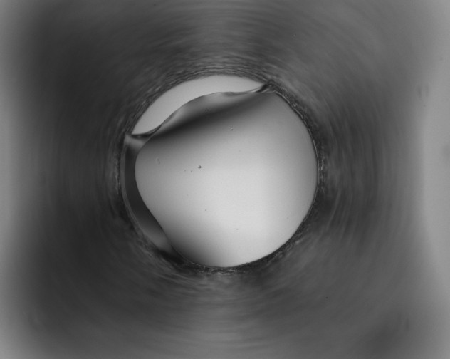 X0000091891058200709261635