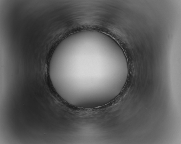 X0000091891061200709261635