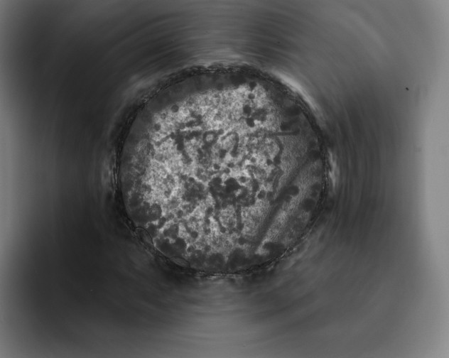 X0000091891063200709261635