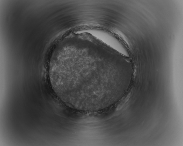 X0000091891064200709261635