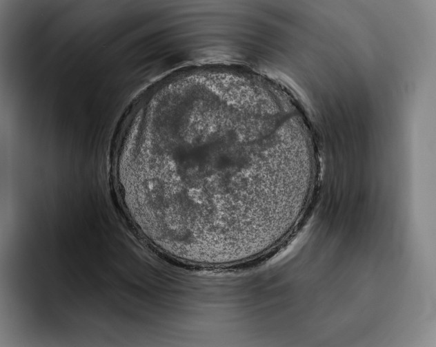 X0000091891065200709261635