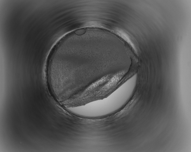 X0000091891068200709261635