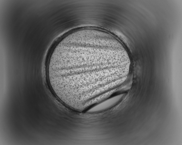 X0000091891072200709261635