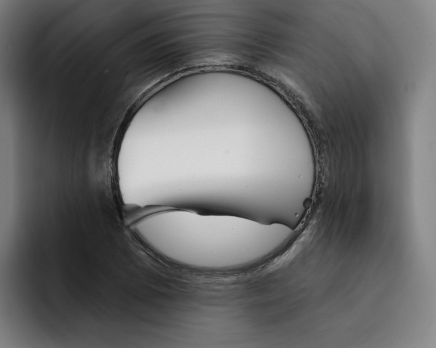 X0000091891073200709261635