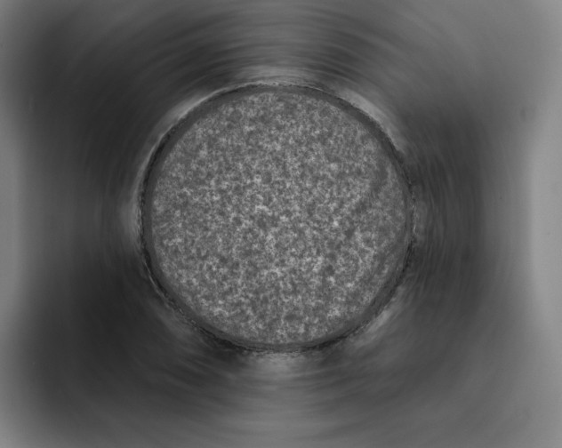 X0000091891074200709261635