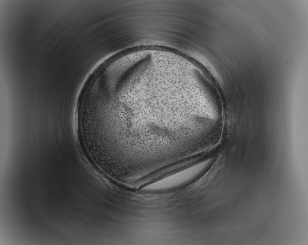 X0000091891076200709261635