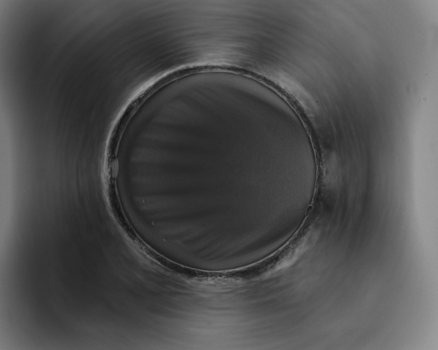 X0000091891077200709261635