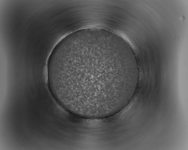 X0000091891079200709261635