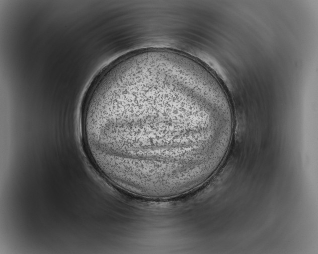 X0000091891080200709261635