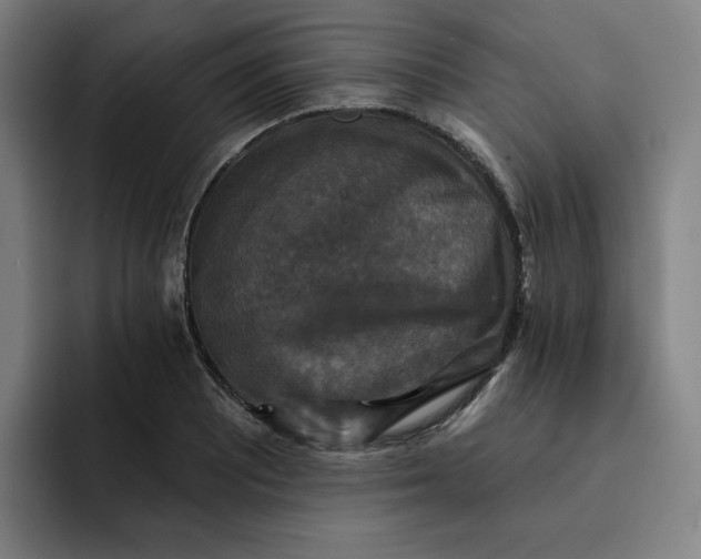 X0000091891081200709261635