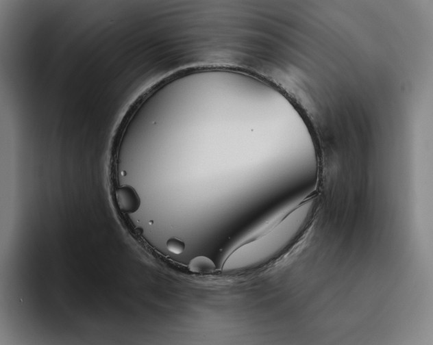 X0000091891085200709261635