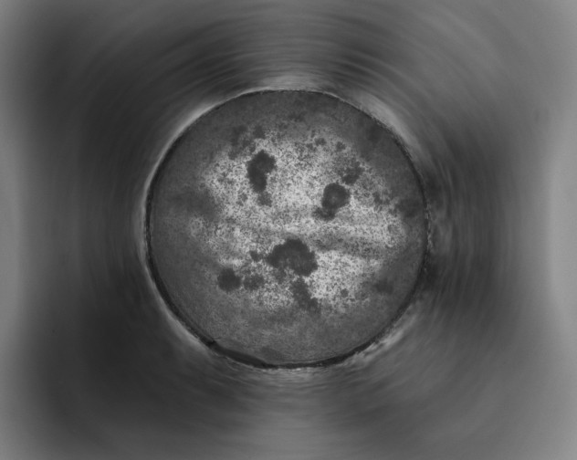 X0000091891087200709261635