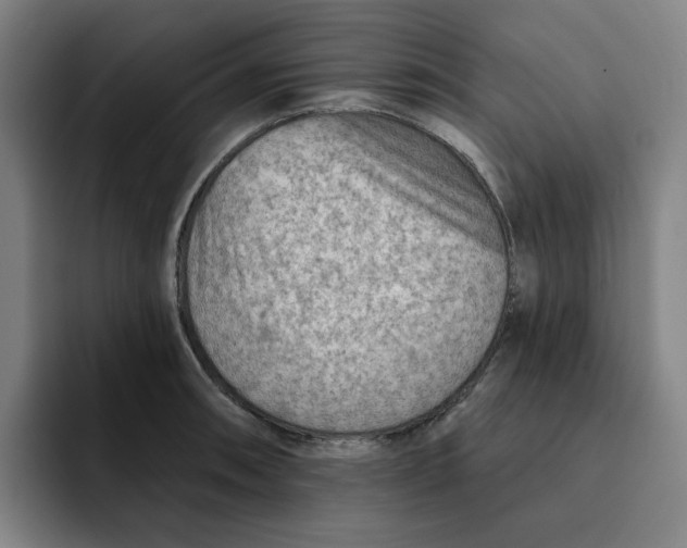 X0000091891090200709261635