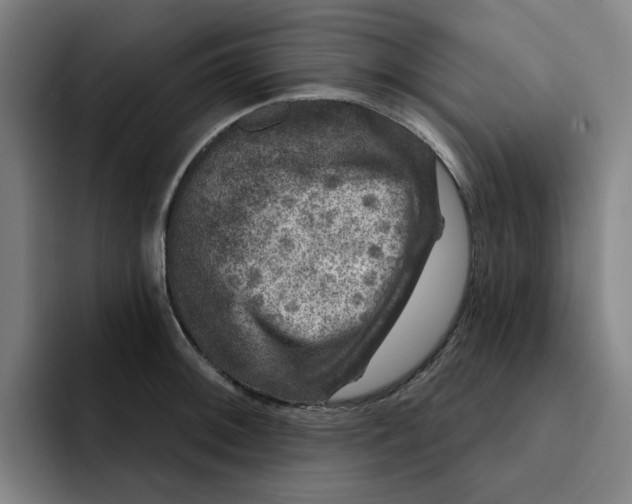 X0000091891092200709261635