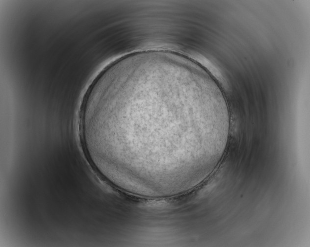 X0000091891094200709261635