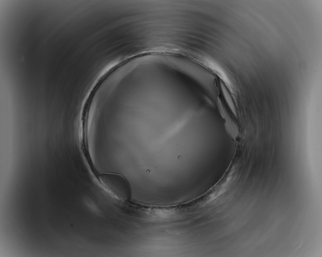 X0000091891095200709261635