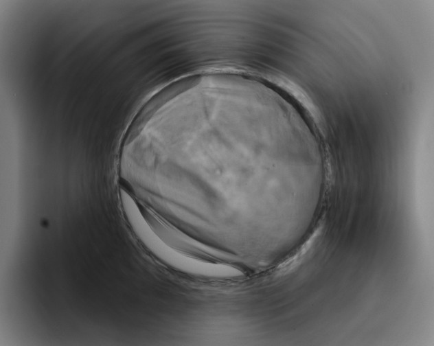 X0000091891097200709261635