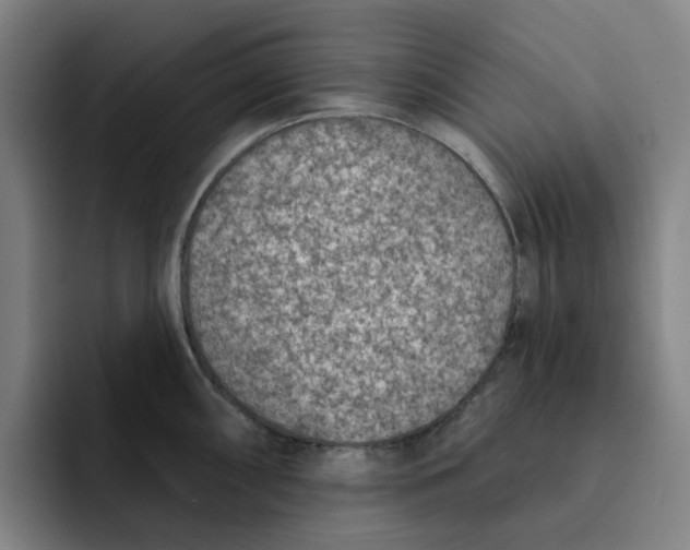 X0000091891098200709261635