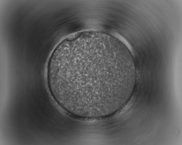 X0000091891099200709261635