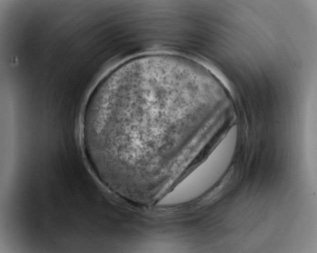 X0000091891101200709261635