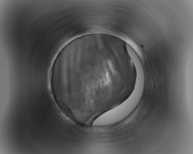 X0000091891102200709261635