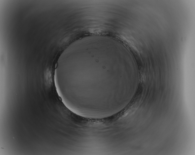 X0000091891106200709261634