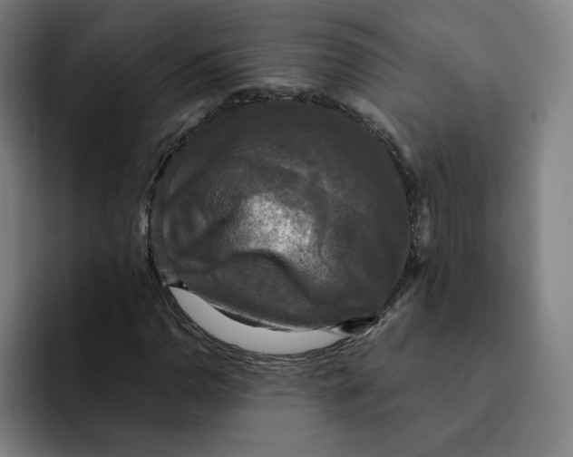 X0000091891110200709261634