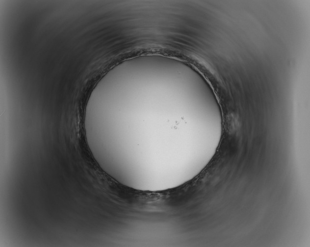 X0000091891111200709261634