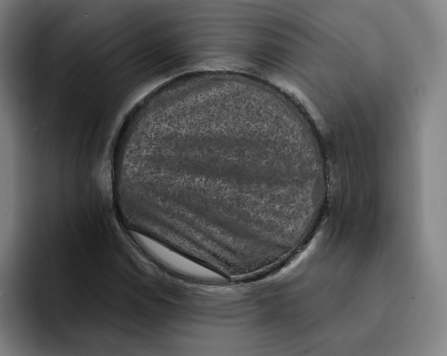 X0000091891114200709261634