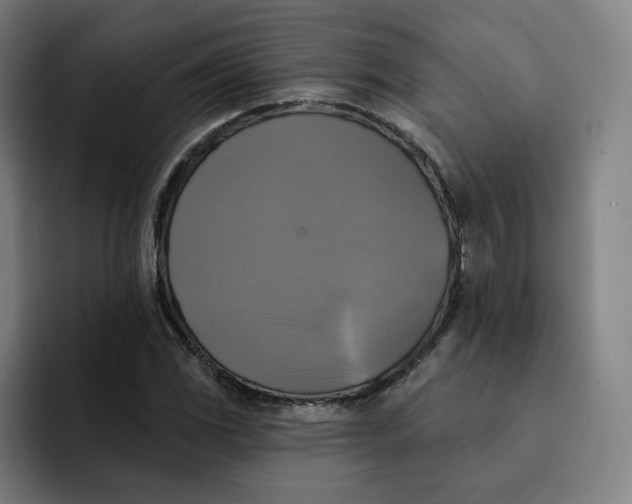 X0000091891117200709261634