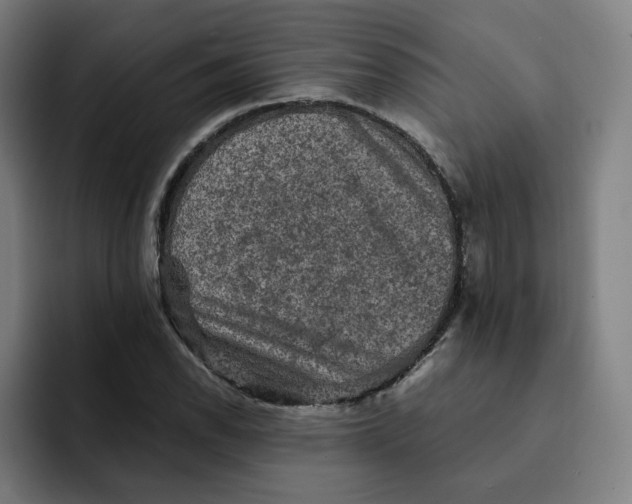 X0000091891118200709261634