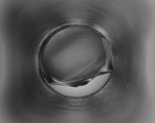 X0000091891120200709261634