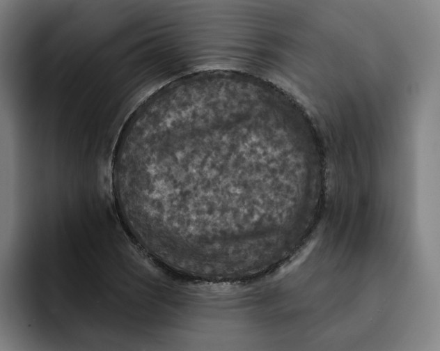 X0000091891121200709261634