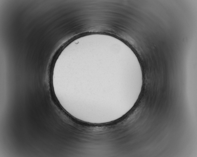 X0000091891122200709261634