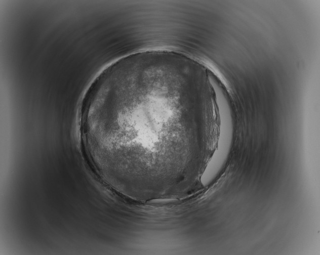 X0000091891124200709261634