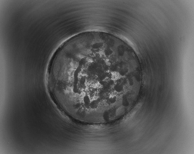 X0000091891125200709261634