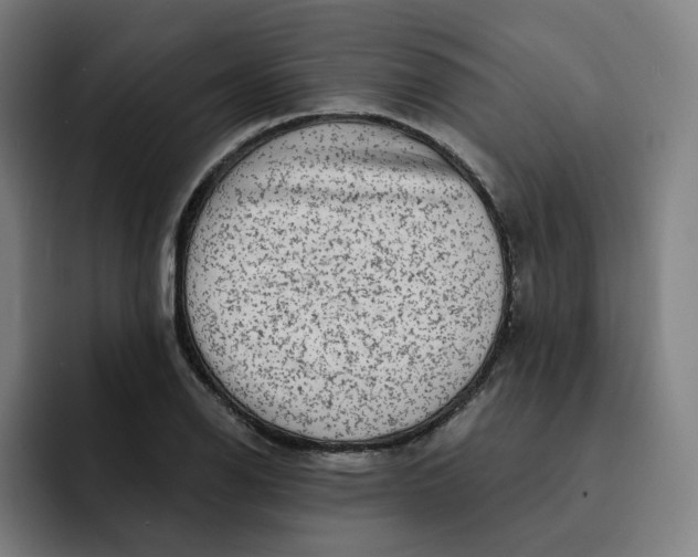 X0000091891126200709261634