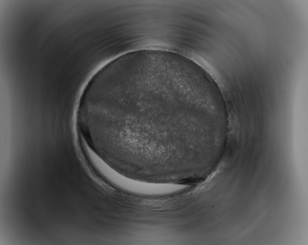 X0000091891128200709261634