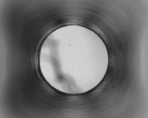 X0000091891130200709261634