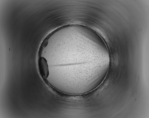 X0000091891133200709261634