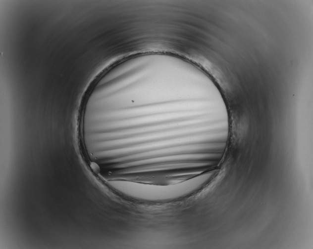 X0000091891134200709261634