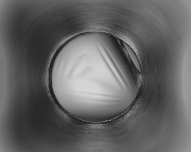 X0000091891136200709261634