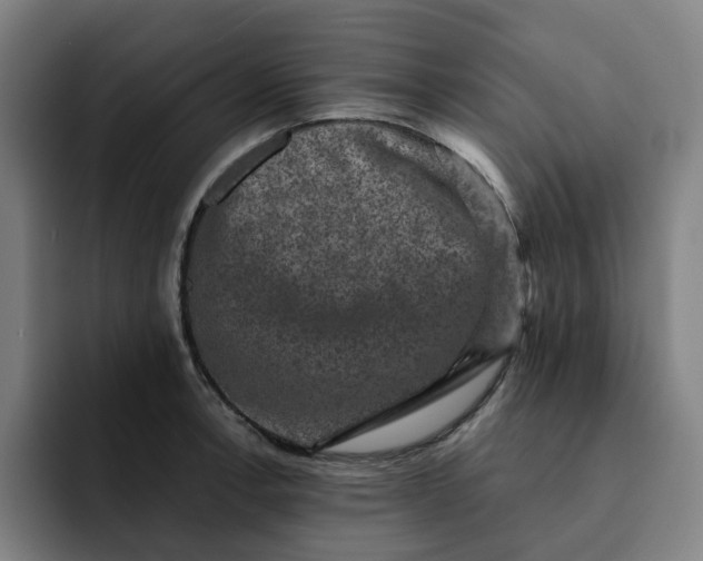 X0000091891138200709261634