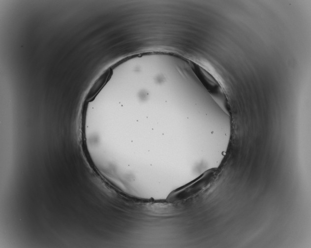 X0000091891140200709261635