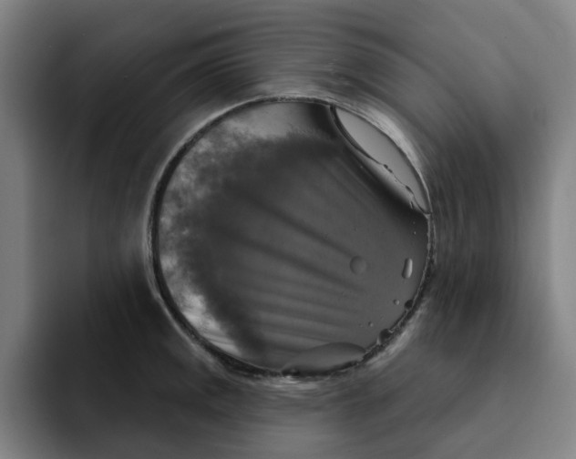 X0000091891141200709261635