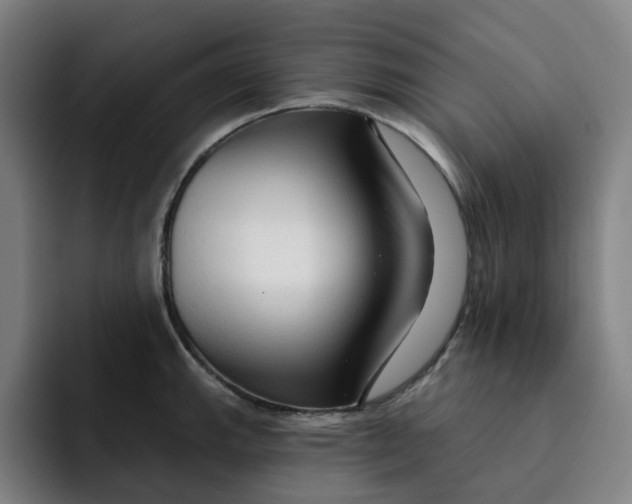 X0000091891143200709261635