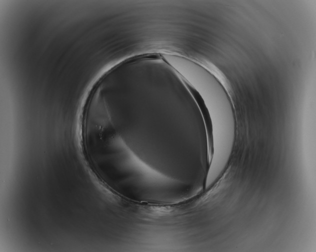 X0000091891144200709261635