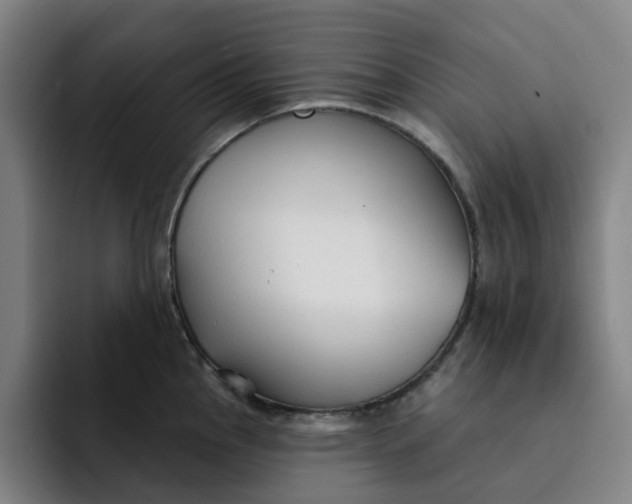 X0000091891145200709261635