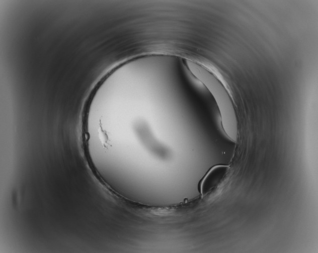 X0000091891147200709261635